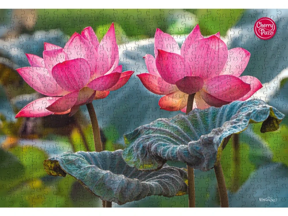 Puzzle 500d. Cherry Pazzi Růžový květ lotusu