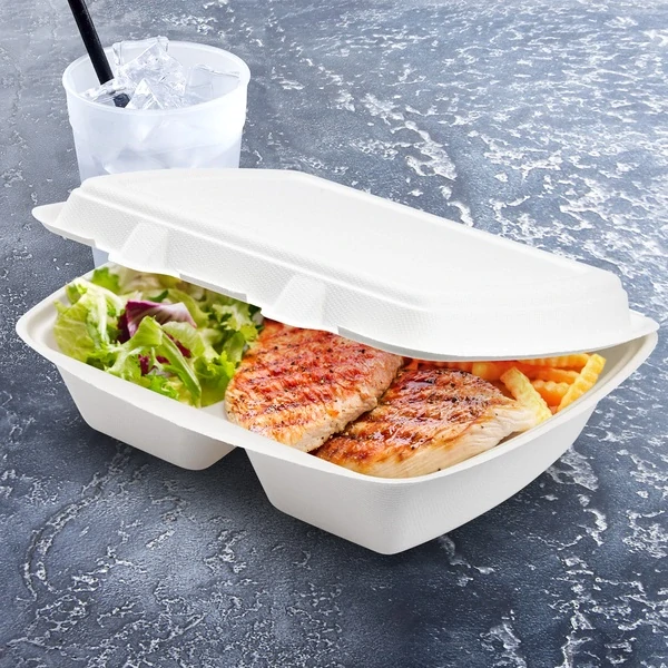 Menu box BIO (cukrová třtina) 2dílný 241 x 202 x 70 mm 1000ml [50 ks]