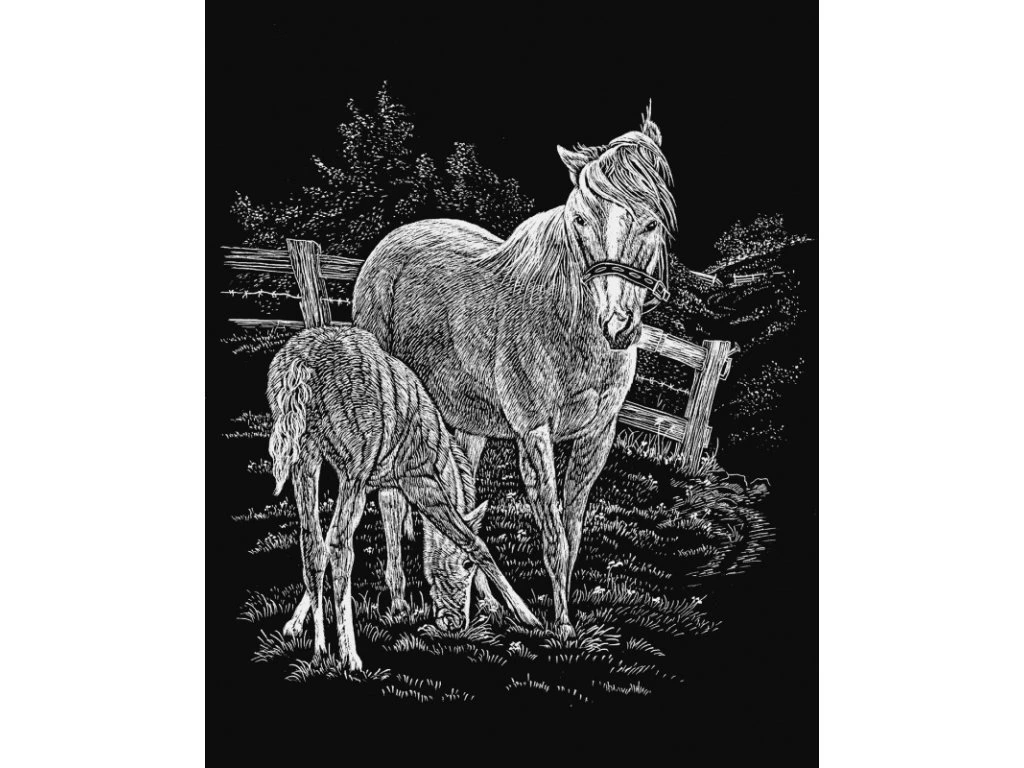 ROYAL and LANGNICKEL Škrabací obrázky A5 v bloku 12 ks - mazlíčci