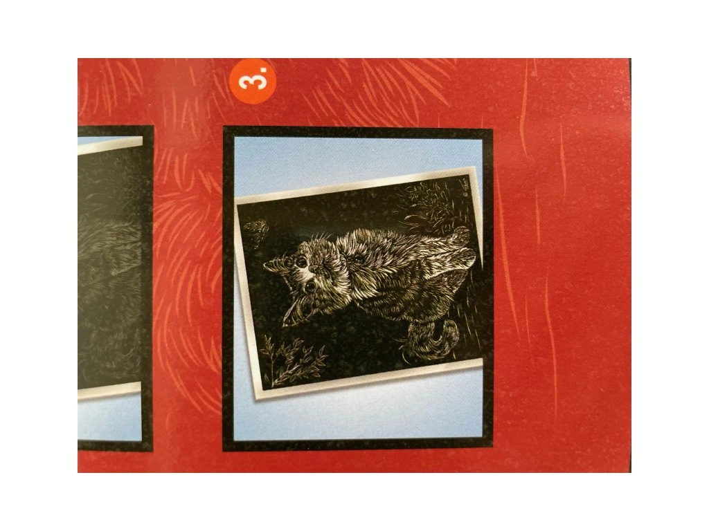 Vyškrabovací obrázek stříbrný 20x25 cm - Kočka