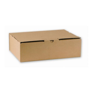 Archivní box A4 10 x 33 x 24,5 cm NATUR 211