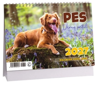 Kalendář Pes - věrný přítel 2027