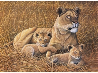 Malování podle čísel 30x40 cm- Lvice a lvíčata