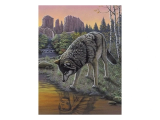 Malování podle čísel 22x30 cm - Vlk