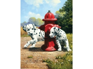 Malování podle čísel 22x30 cm- Dalmatini u červeného hydrantu