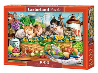 Puzzle Castorland 1000 dílků - Podřimující koťátka