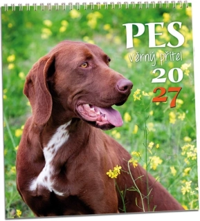 Kalendář nástěnný Pes - věrný přítel 2027