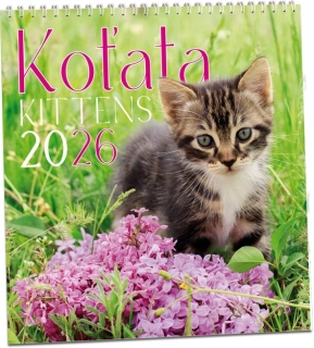 Kalendář nástěnný Koťata 2026
