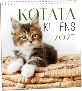 Kalendář nástěnný Koťata 2027